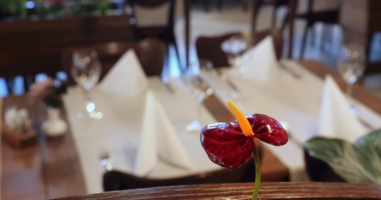 Hotel Tripic, Restaurant And Pizzeria Бохінь Екстер'єр фото